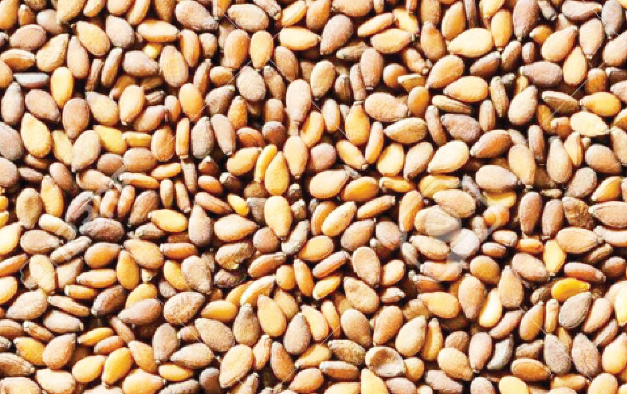 Sesame farmers smile to bank as price hits N100,000 per bag in Taraba markets