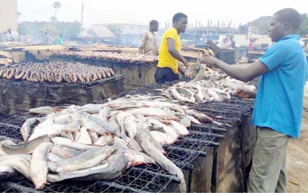 Why Nigeria's N261.8bn catfish industry is in danger - Daily Trust