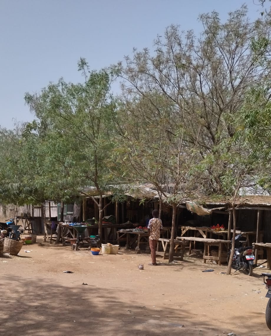 ASUU Strike: Our Lives Depend On Campus Business, BUK Traders Lament