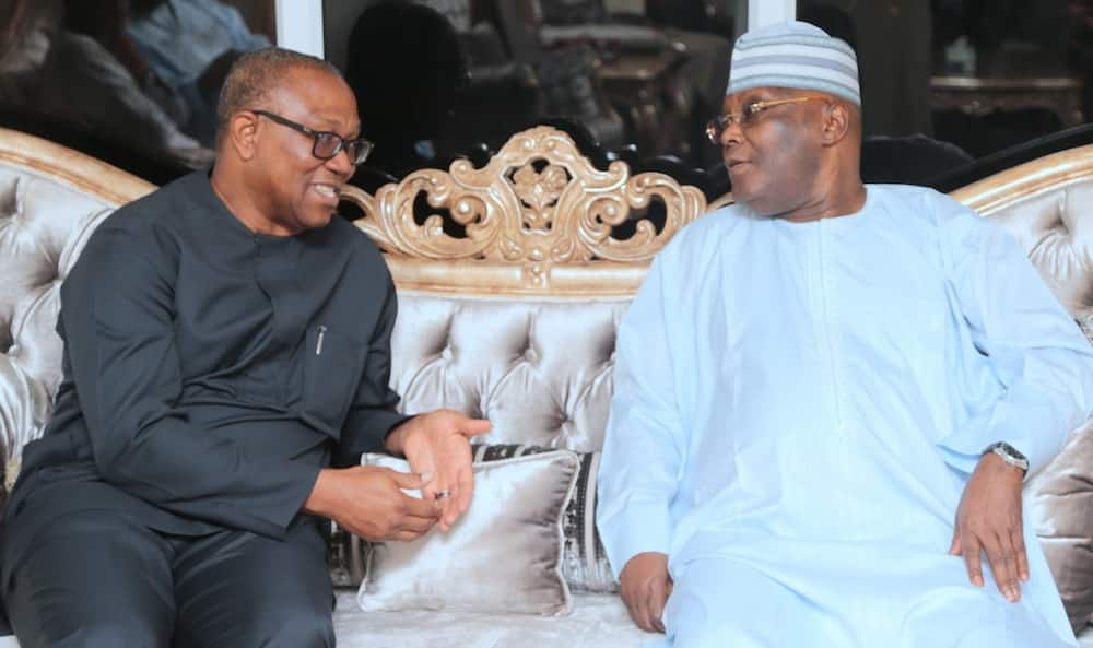 2023: Peter Obi picks PDP presidential form, set to lock horns with Atiku -  Daily Trust