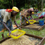 Women Agro Processors Agricgen