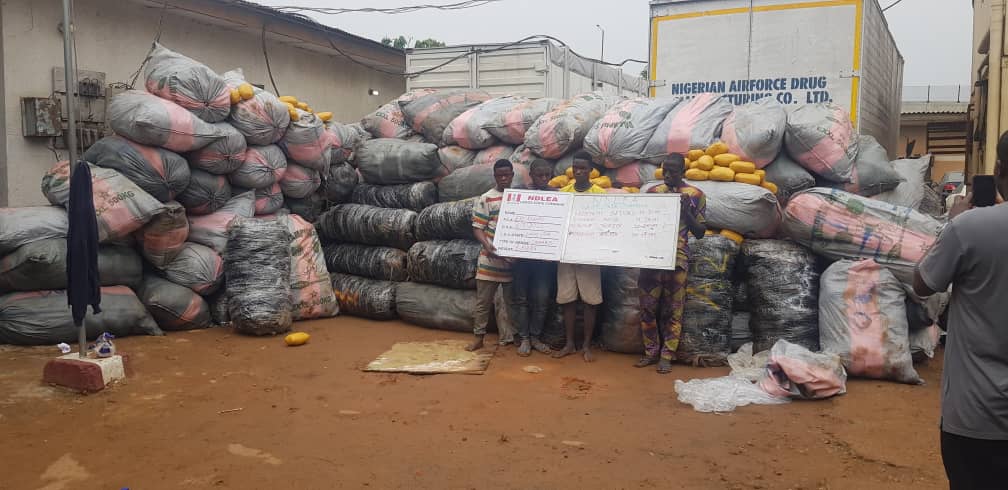 NDLEA intercepts 3m opioid capsules at Lagos terminal