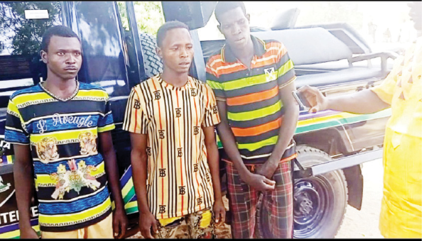 Police arrest 3 kidnappers in Gombe - Daily Trust