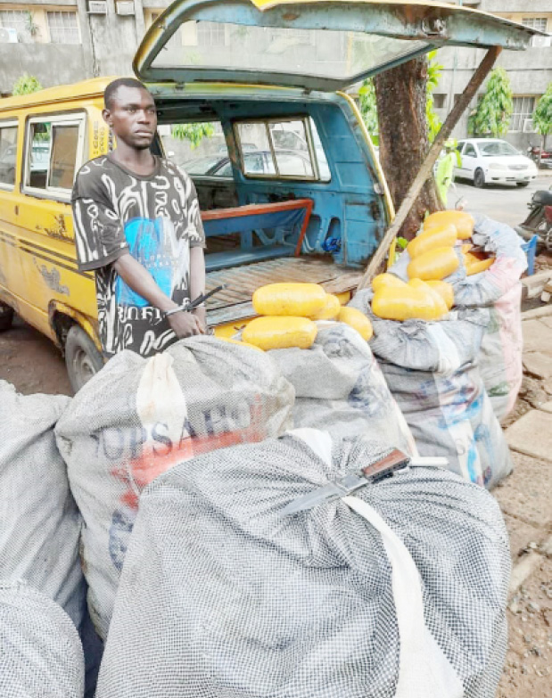 Bus driver arrested with N3m Indian hemp