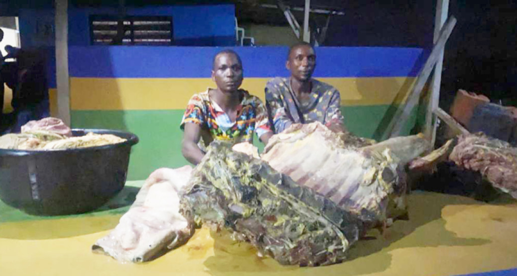 Police arrest 2 rustlers in Ekiti