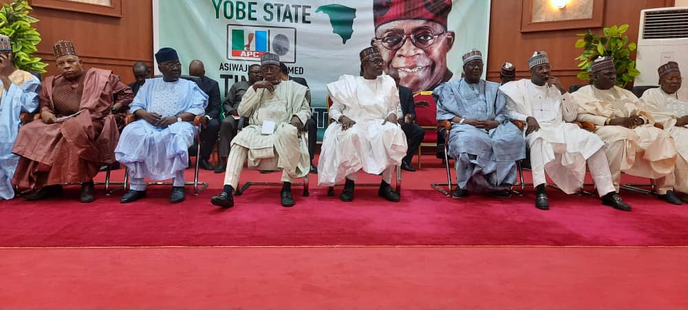 You need a President like me, Tinubu tells APC delegates in Yobe