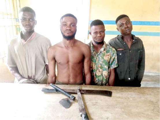 4 cultists arrested while planning attacks in Ogun