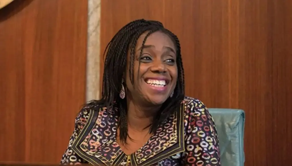 U.S. grants Adeosun’s Dash Me Foundation non-profit, tax-exempt status