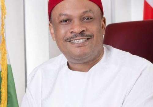 Imo gov’ship: New twist as S/East PDP stakeholders move to oust Anyanwu as secretary