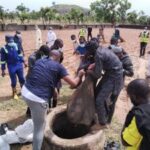 Police operatives exhumed the body of Hussaini Aliyu Takuma, allegedly killed by suspected herdsmen
