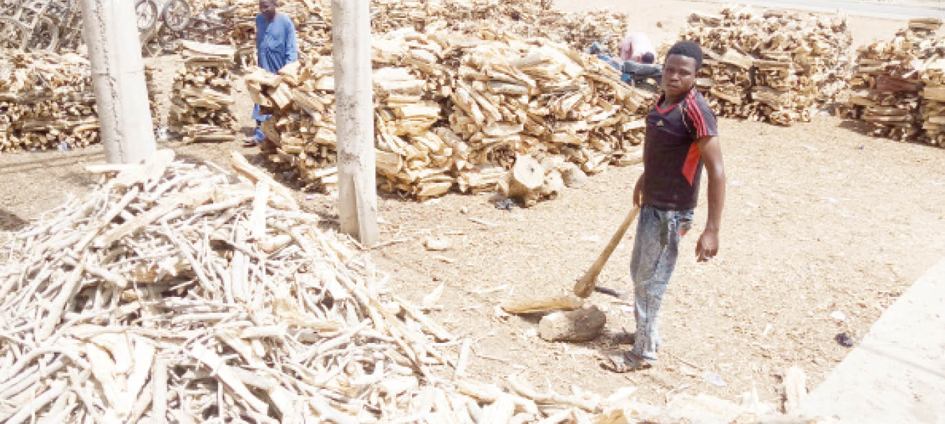 Wood, charcoal to the rescue as cooking gas eludes Kano residents