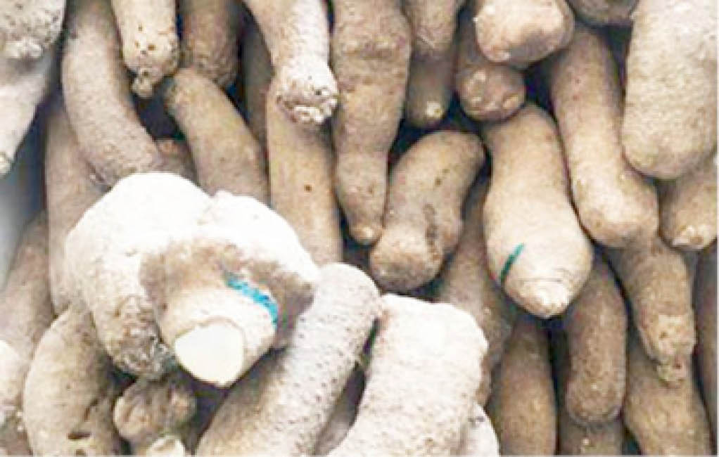 Customers groan over high cost of yam in Niger