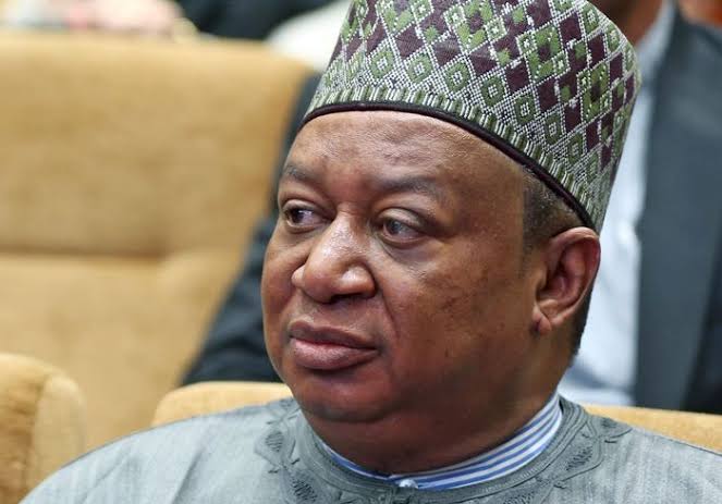 Barkindo, OPEC Secretary General, dies hours after meeting Buhari