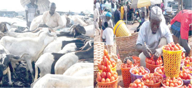 NIGERIA DAILY: How Some Nigerians Celebrated Sallah Amidst Biting Economy