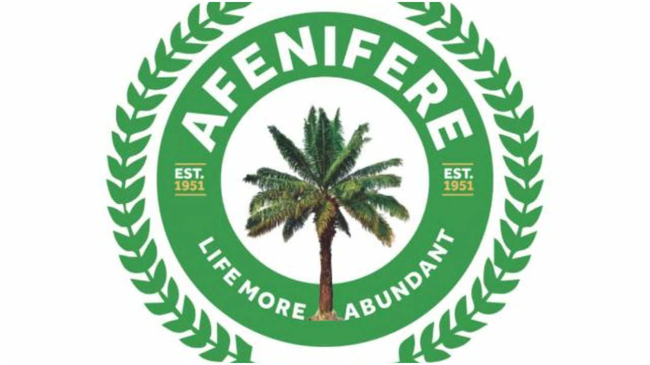 Insecurity: Don’t fail like Buhari, Afenifere tells Tinubu