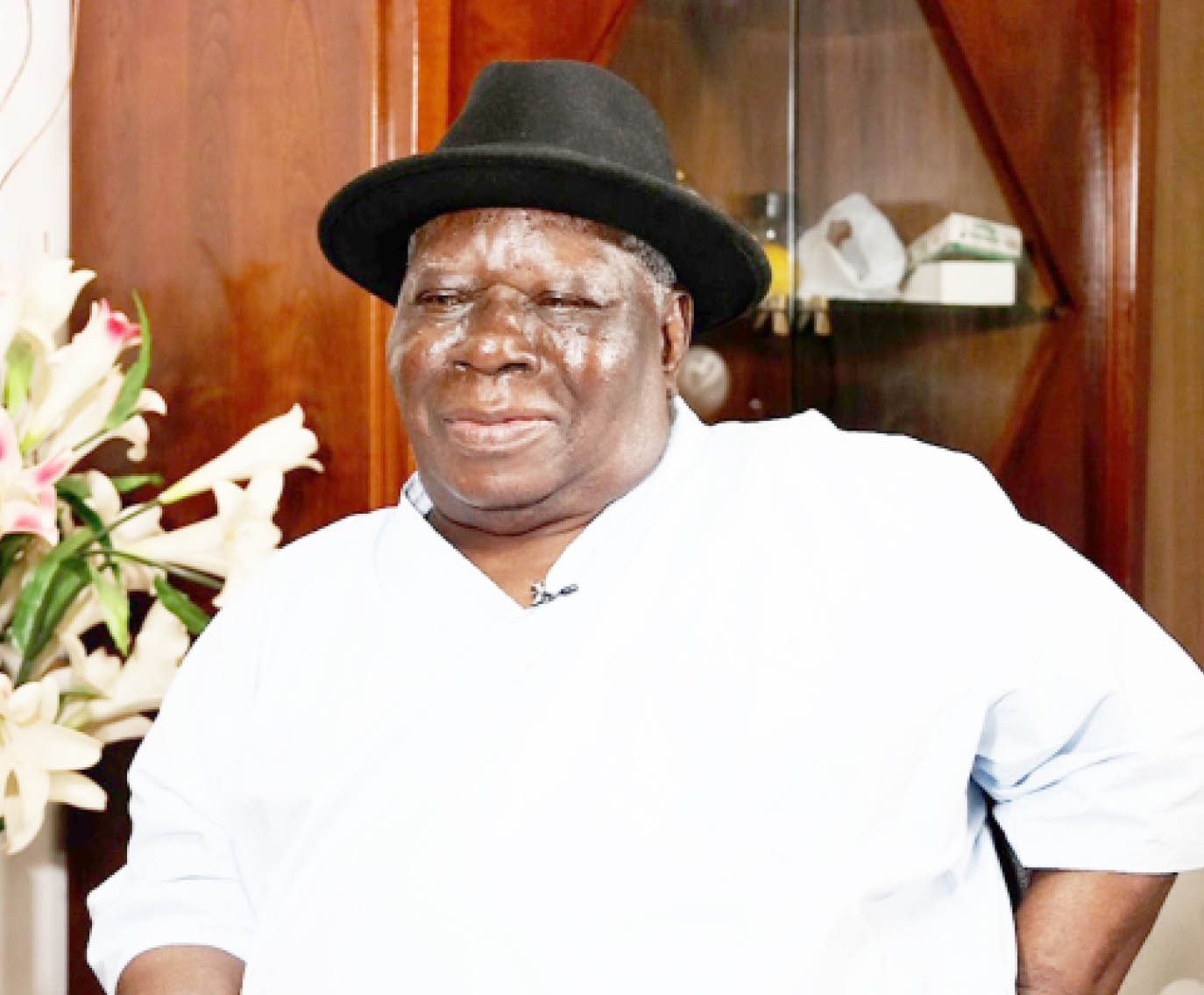 Lack of population data causing problems in Nigeria – Edwin Clark