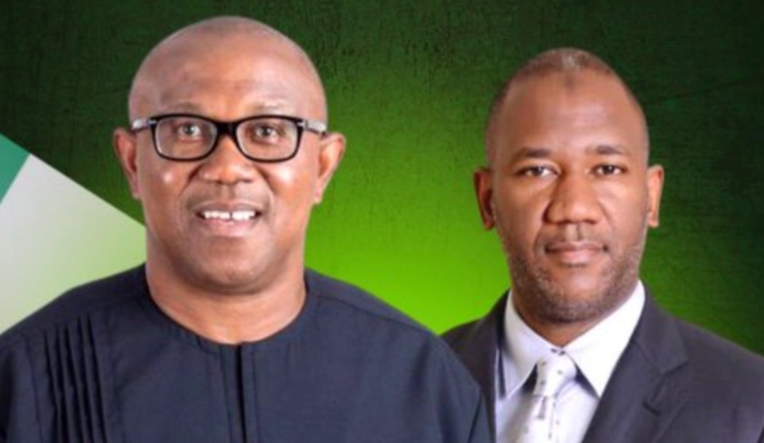 2023: Peter Obi/Baba-Ahmed credible – Coalition