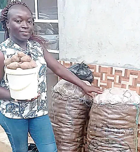 ASUU Strike: I now sell potatoes, says UniUyo Lecturer