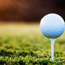 Shamah emerges winner of inaugural Skal golf tourney