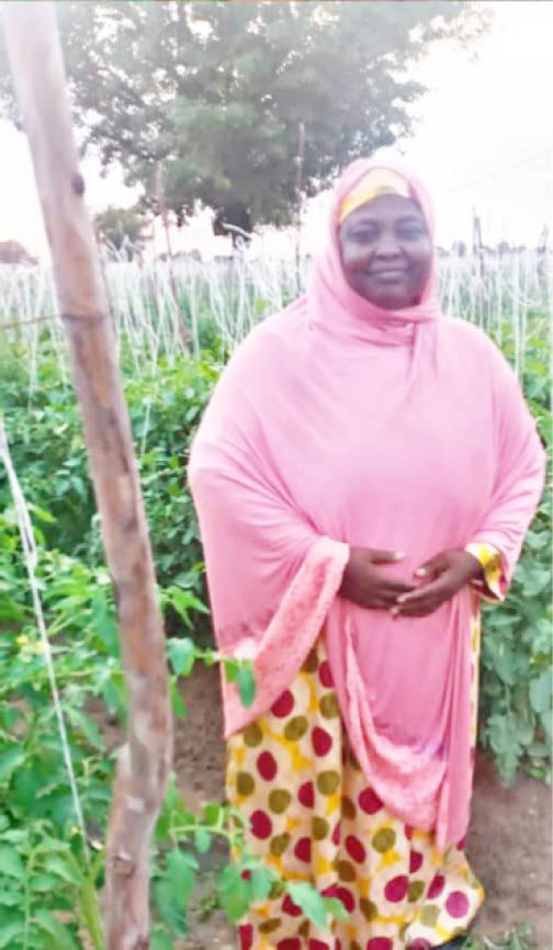 Cost of farm inputs: Women farmers cry for help