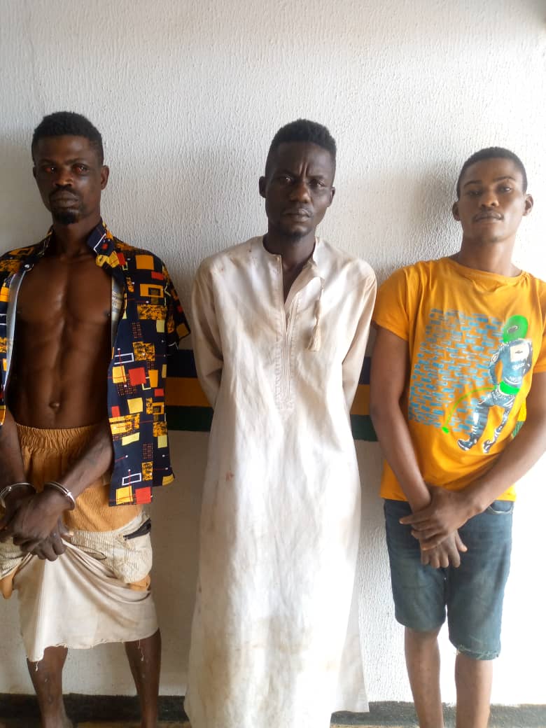 Police arrest ‘serial killers’ in Ogun