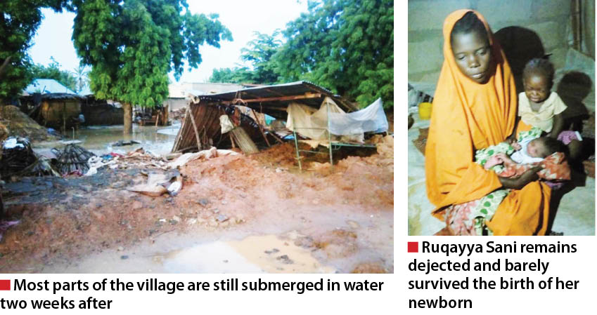 Jigawa flood victims still hopeful of govt’s intervention 2 weeks after