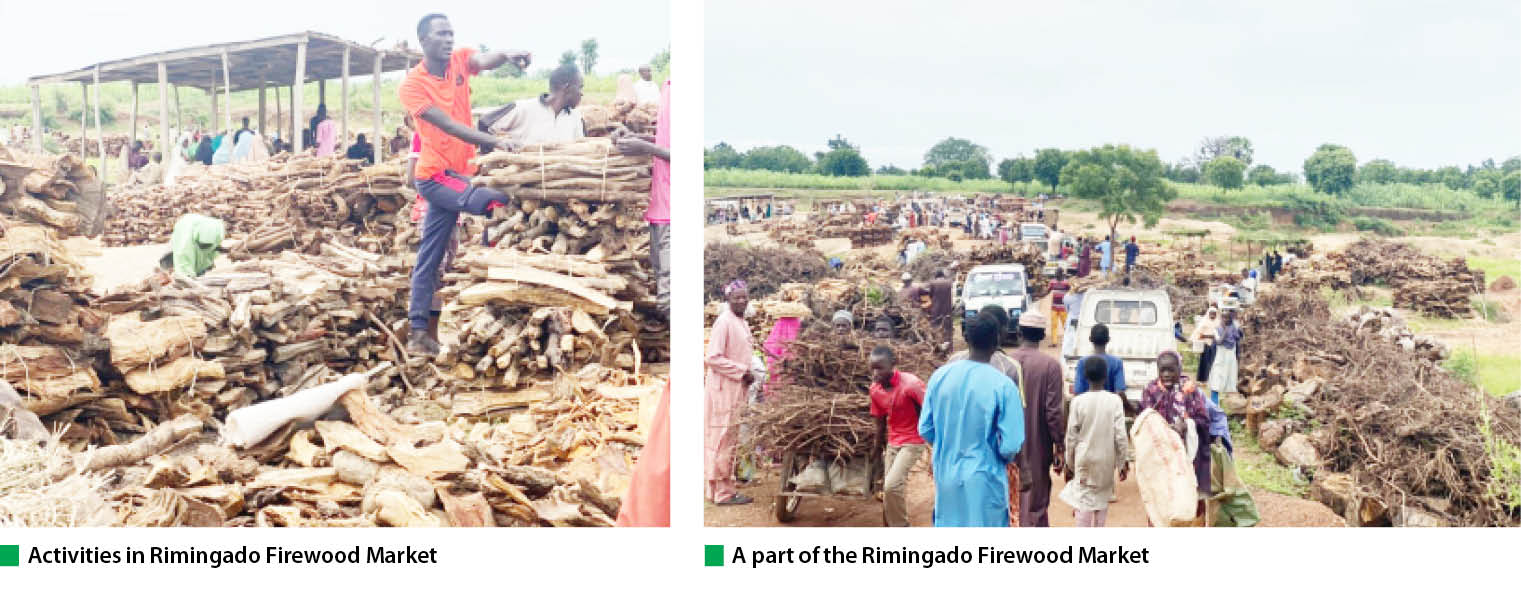 Rimingado firewood market booms in Kano as price of cooking gas soars