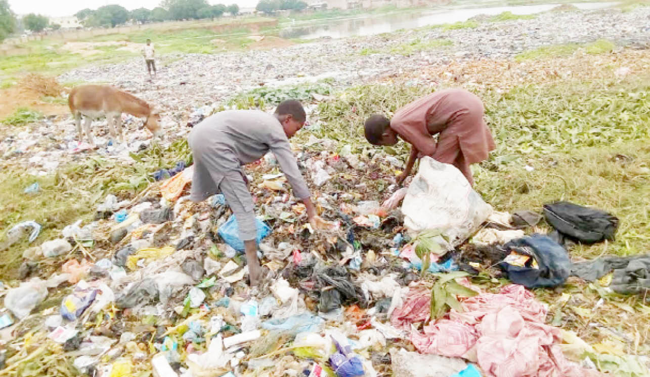 Kano scavengers make fortunes in plastic recycling