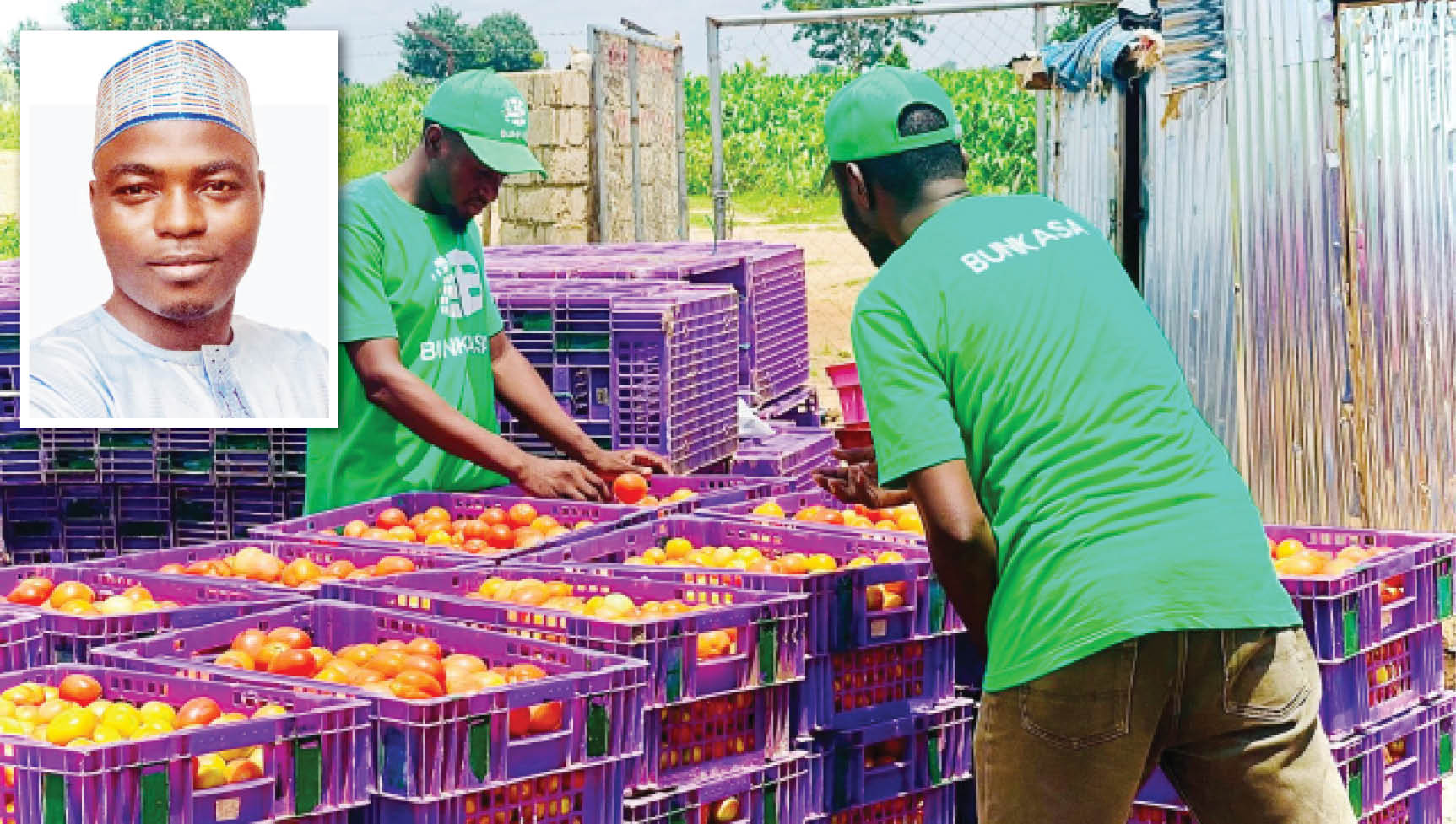 How 29-year-old is remodelling Nigeria’s agric value chain with plastic crates