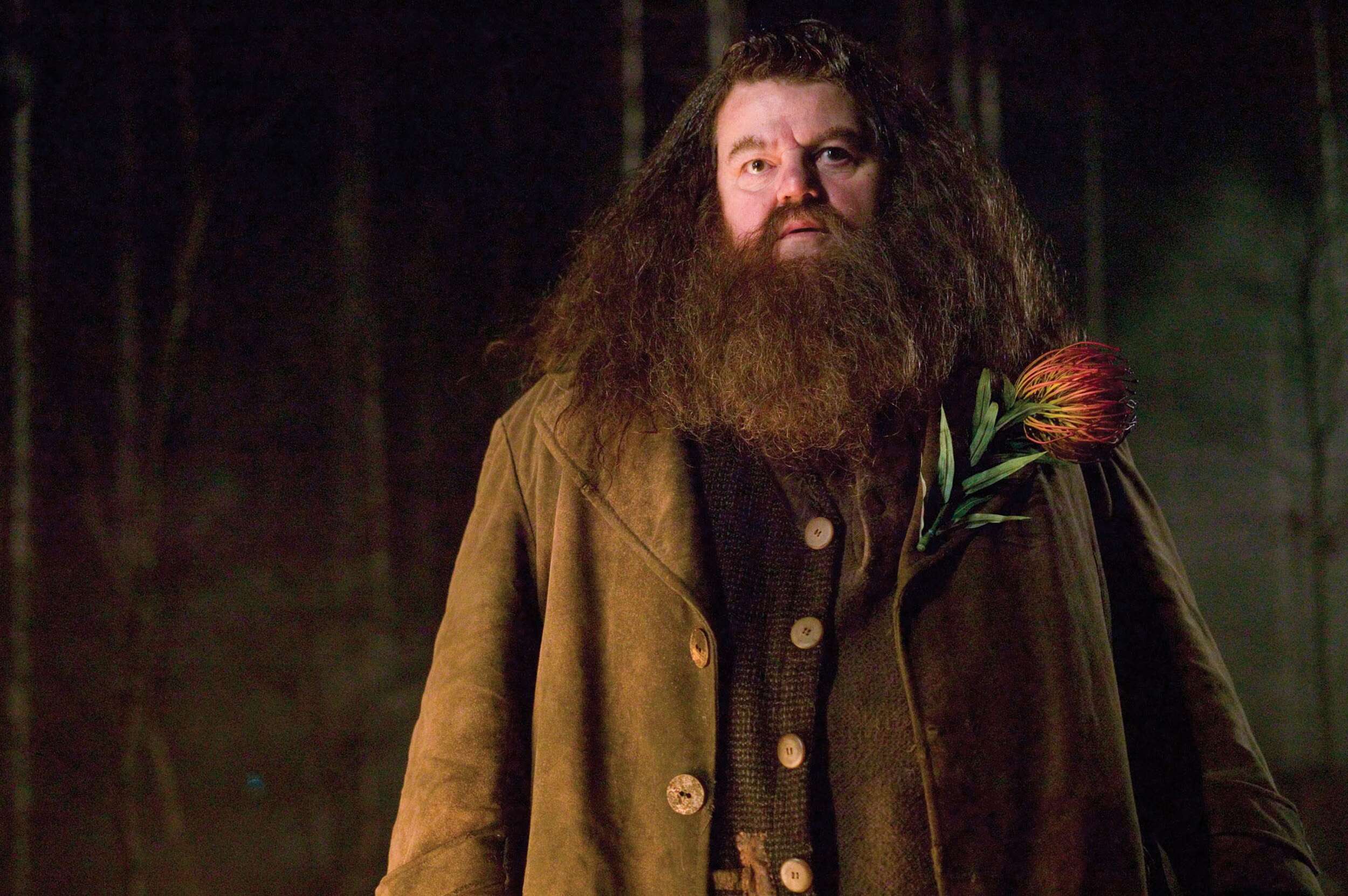 Harry Potter actor, Robbie Coltrane, dies aged 72