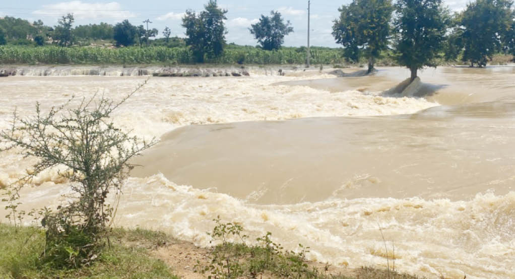 Kano farmers groan as dam water washes away farmlands