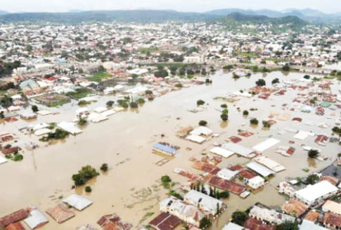 Flood: Snake scare heightens in Lokoja as water recedes