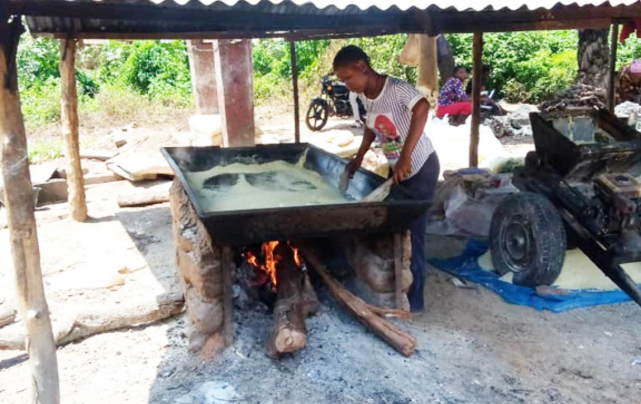 Poor energy: Women processing garri, palm oil face smoke, fire hazards in Benue