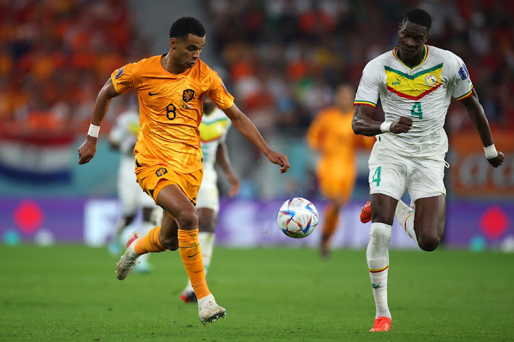 Netherlands beat Senegal 2-0