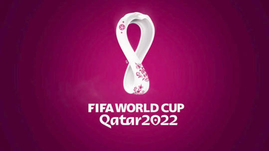 Qatar 2022: Nigerian fans salute African reps, chide Super Eagles