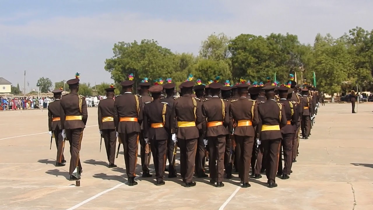 Immigration arrests suspects with 29 cartons of hard drugs at Jigawa border