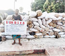 Pregnant woman, others nabbed with hemp, cocaine