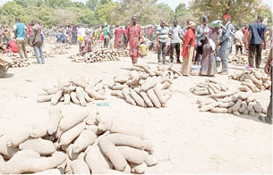 Price of yam crashes in Niger markets