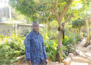 Despite shrinking green spaces, horticulture business thrives in Kano