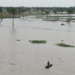 Flooded rice paddy in Taraba