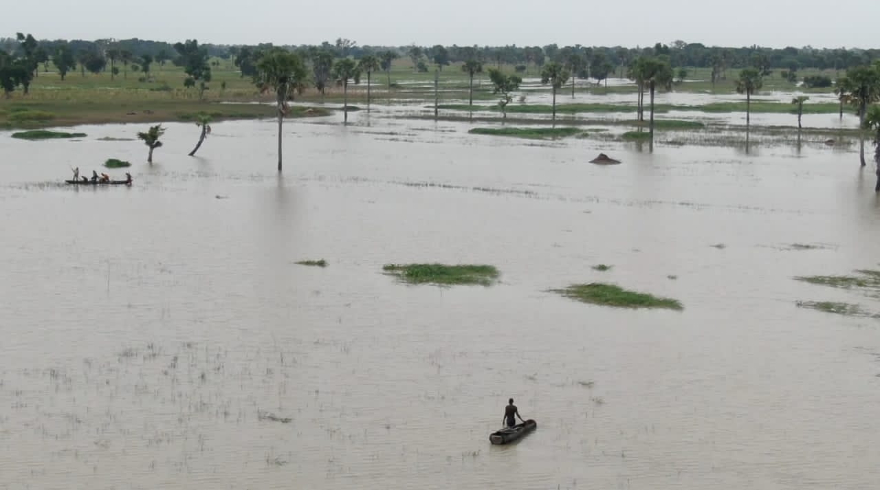 Flooded rice paddy in Taraba
