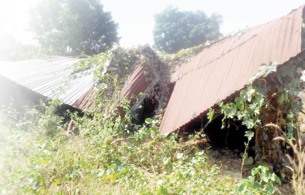 Benue community yet to return, one year after attack