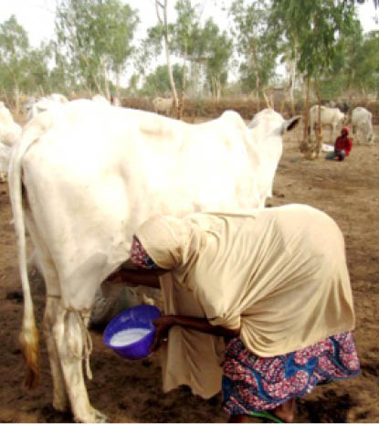 Integrated Dairy reaches out to Plateau widows