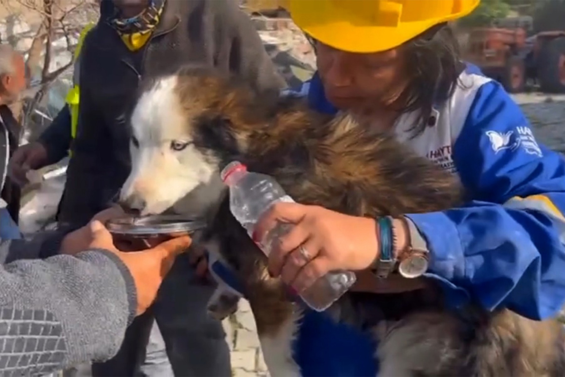 This handout photograph taken and released by Turkish agency DHA (Demiroren News Agency) on March 1, 2023 shows rescuers feed a dog with water from a collapsed building 23 days after last month's 7.8-magnitude deadly earthquake