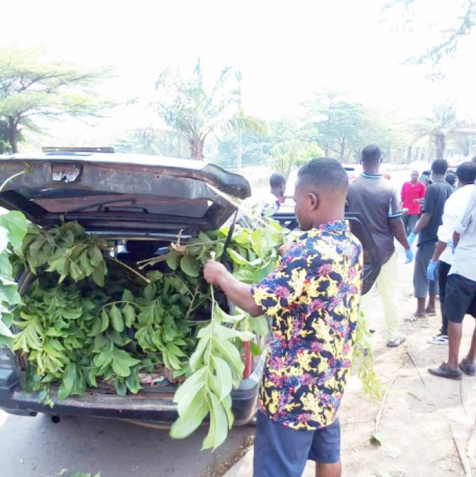 4-year-old boy’s genitals, tongue, eyes removed in Abuja