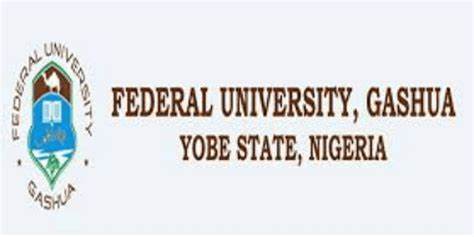 Touts, not students flogged our lecturer, Yobe varsity clarifies