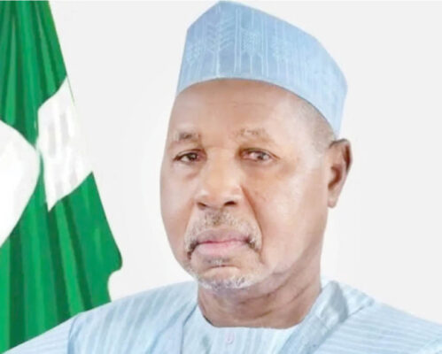 NEF endorsed Tinubu on expectations, not principle — Masari - Daily Trust