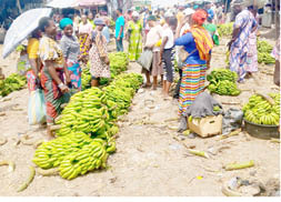 Zuba fruit sellers kick as FCT council suspends leaders