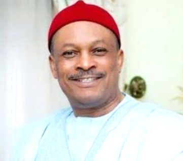 Anyanwu resumes as PDP National Secretary