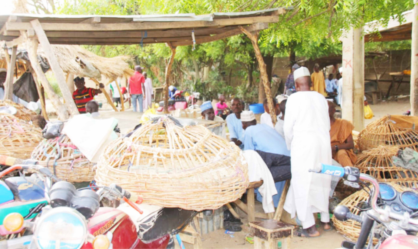 Kano poultry farmers, traders groan over excess heat, low patronage